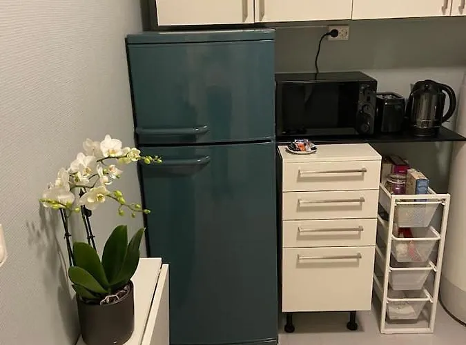 Lejlighed Modern 3Br Apartment Near Oslo Center Free Parking *